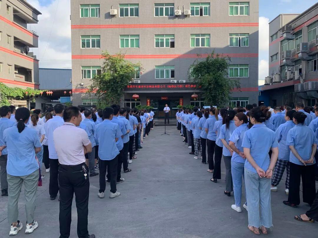 精益6S升級(jí)項(xiàng)目誓師大會(huì)